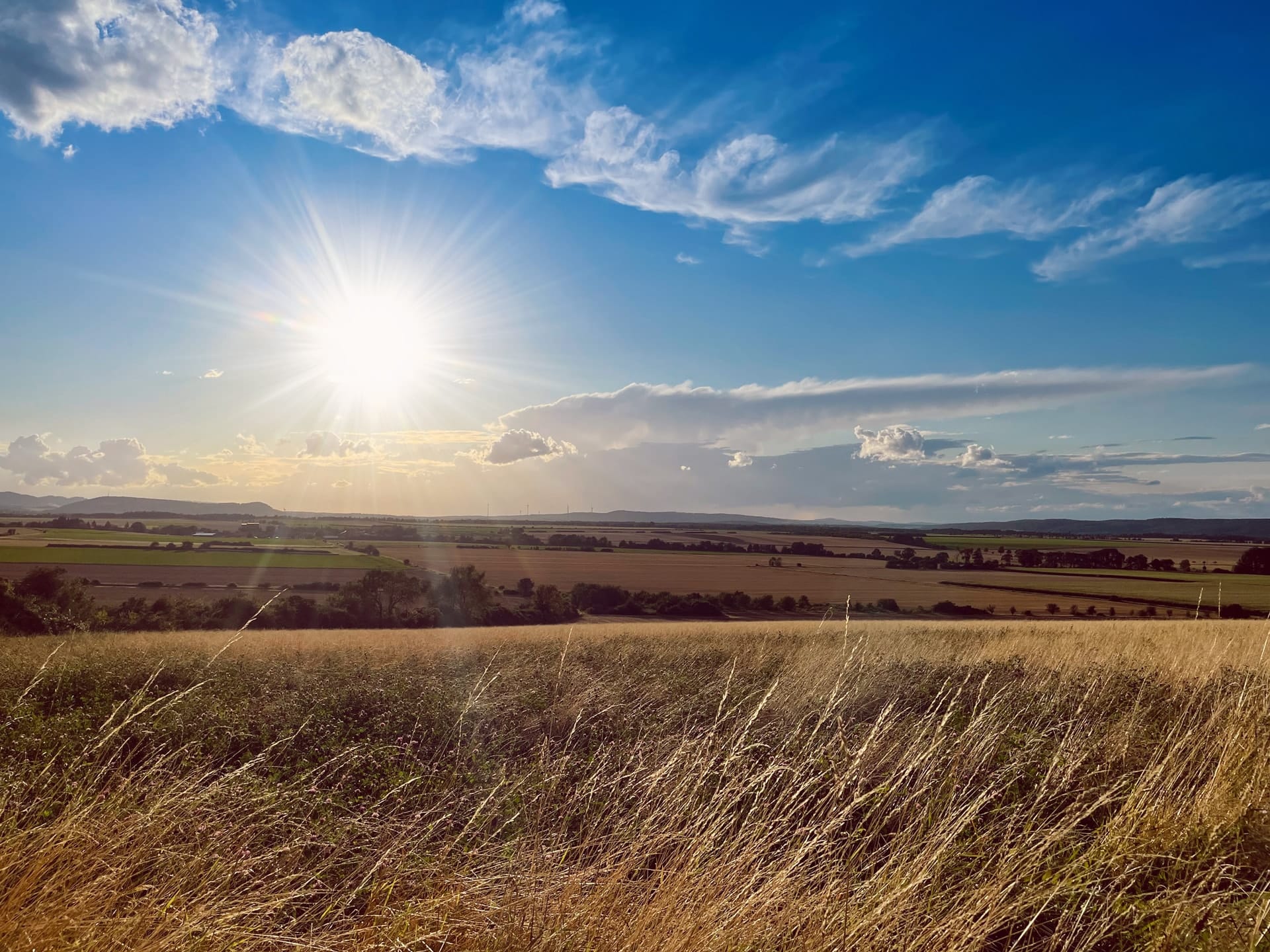 Stefanie Hertrampf - Feld, Landschaft und Region